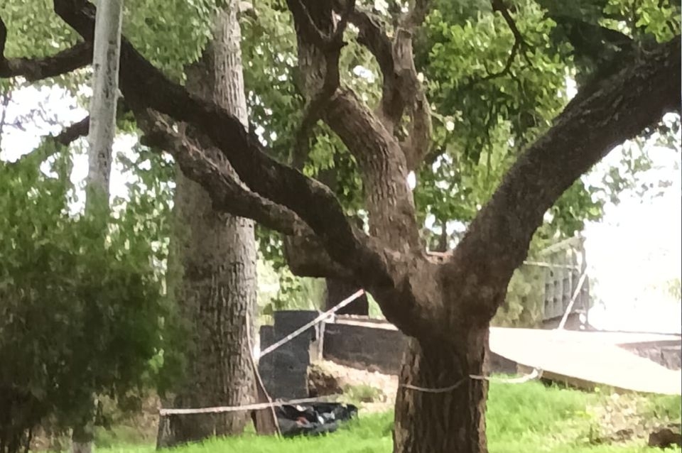 Encontraron restos humanos dentro de una bolsa de consorcio en Plaza Escalante