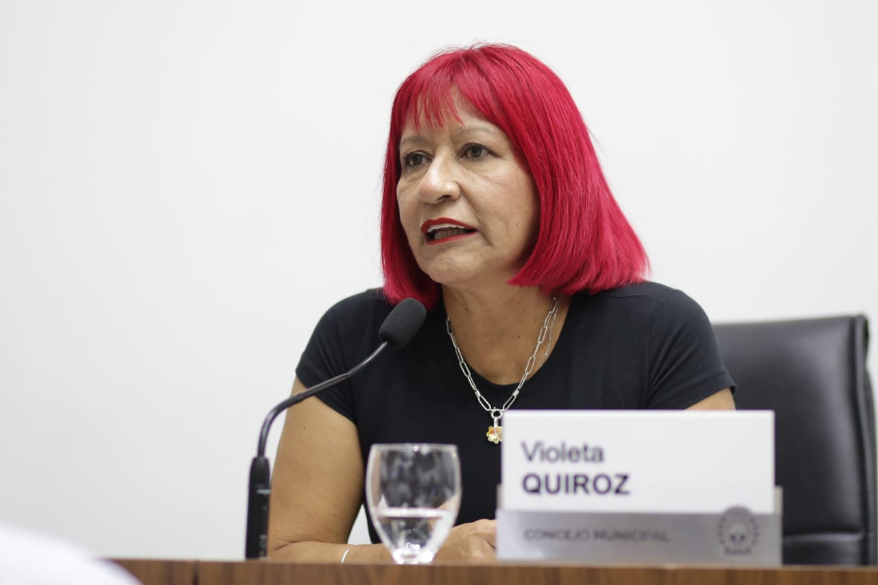 Violeta Quiroz: “Hay que judicializar el reclamo por la restitución del Fondo Compensador del Transporte”