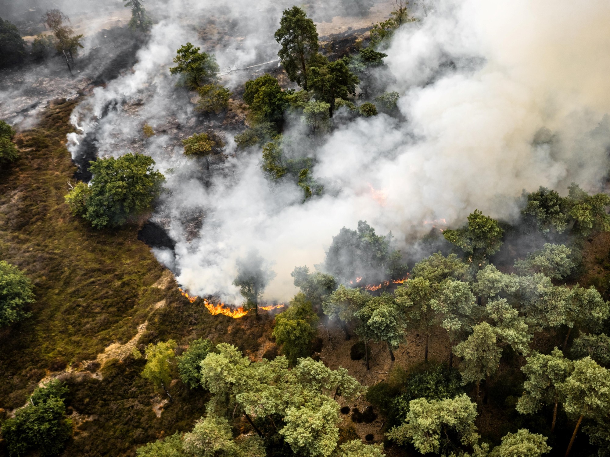 Incendio forestal fotografiado con un dron cerca de Oostrum, en Países Bajos